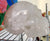 Extra Large Crystal Skull