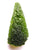 Moldavite Rare specimen